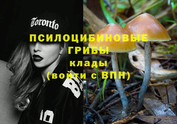 шишки Нея