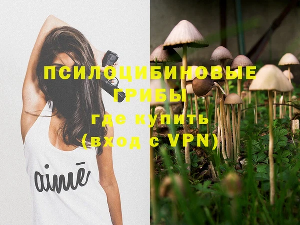 шишки Нея