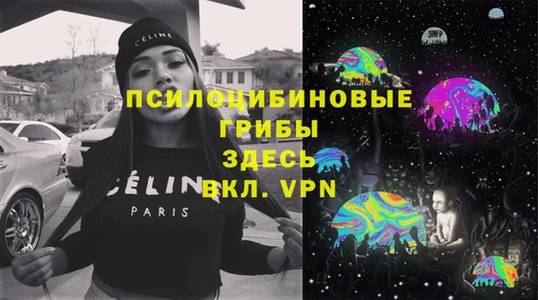 шишки Нея