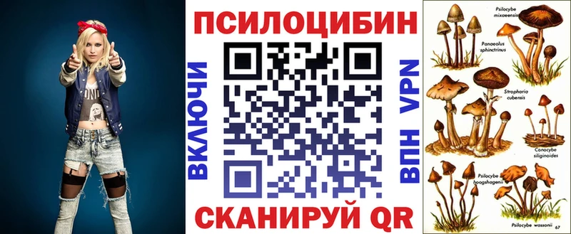 Галлюциногенные грибы Cubensis  Нюрба 